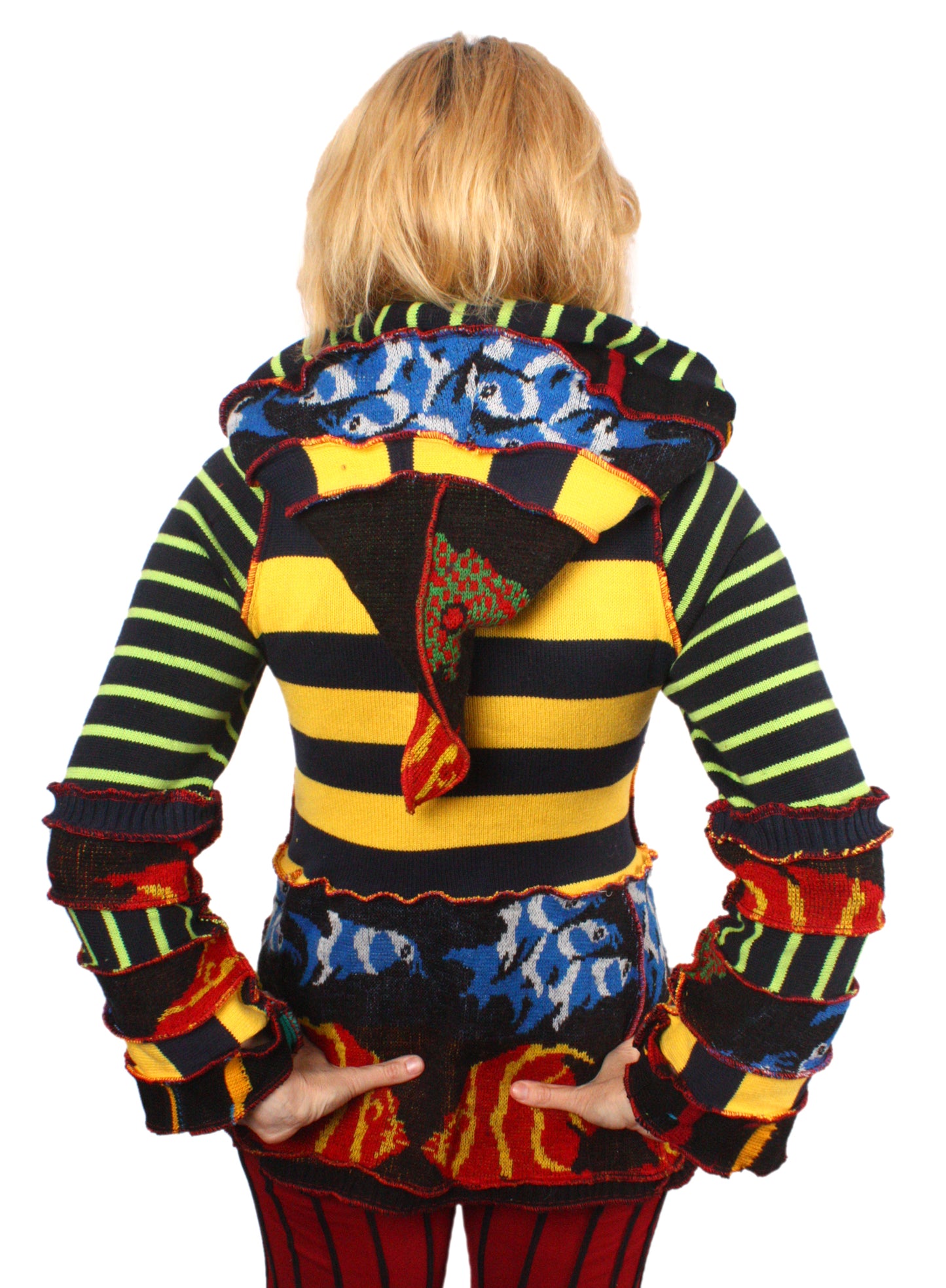 Daisy Fleabane - MEDIUM